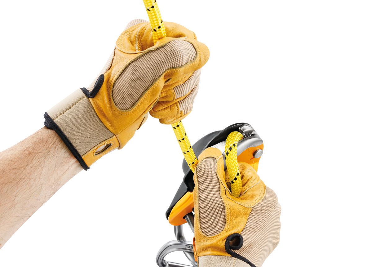 PETZL Rig Compact Descender