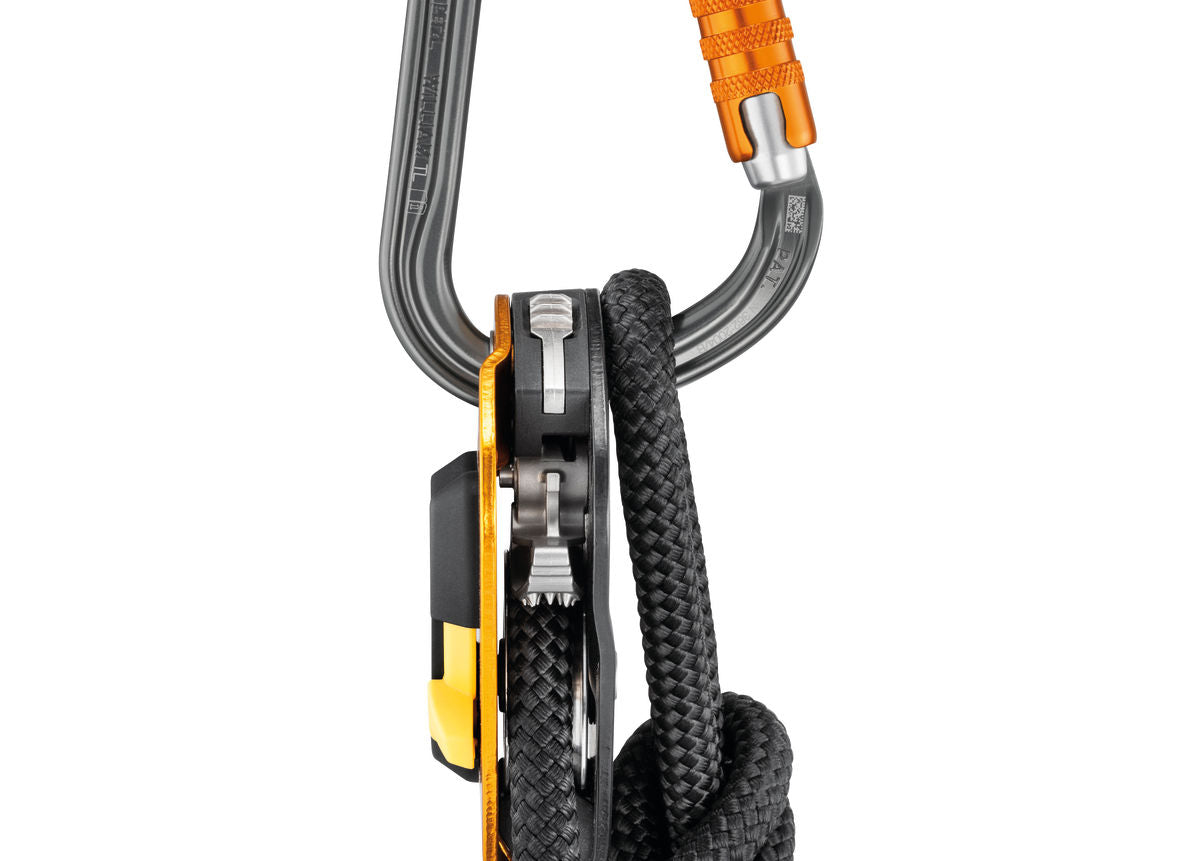 PETZL William Lightweight Carabiner